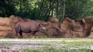 Career Orientation, Learning & Adventure at Zoo Miami Photo #10