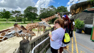 Career Orientation, Learning & Adventure at Zoo Miami Photo #12