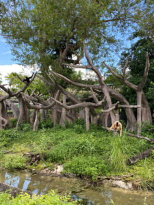 Career Orientation, Learning & Adventure at Zoo Miami Photo #9