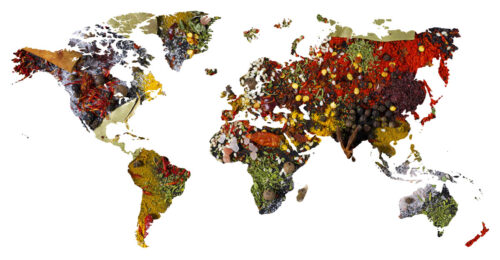 World map of different aromatic spices on white background. Crea